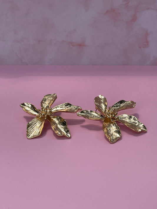 Aretes Lirium