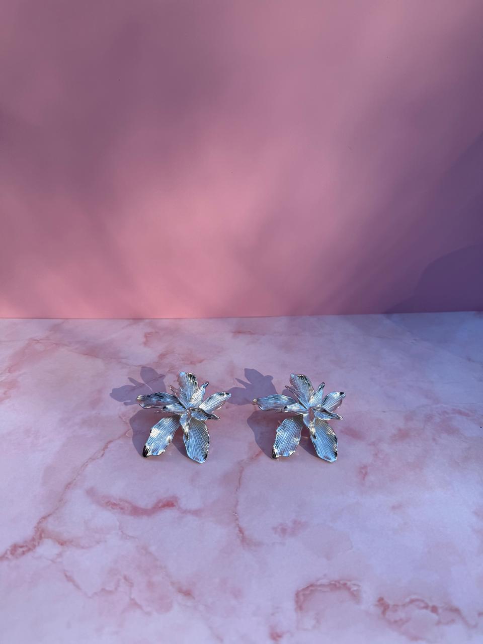 Aretes Ficus