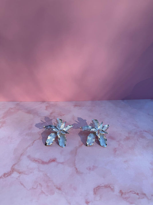 Aretes Ficus